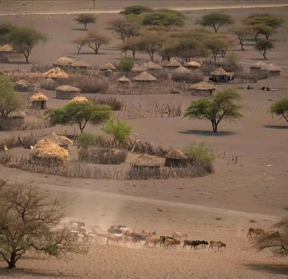Aerial view of a traditional settlement in northern Tanzania