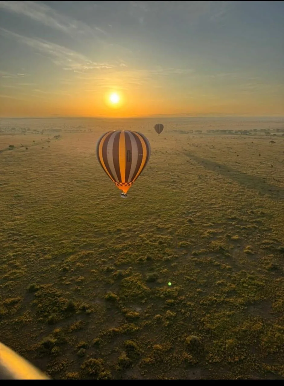 Hot-air balloon over the Serengeti