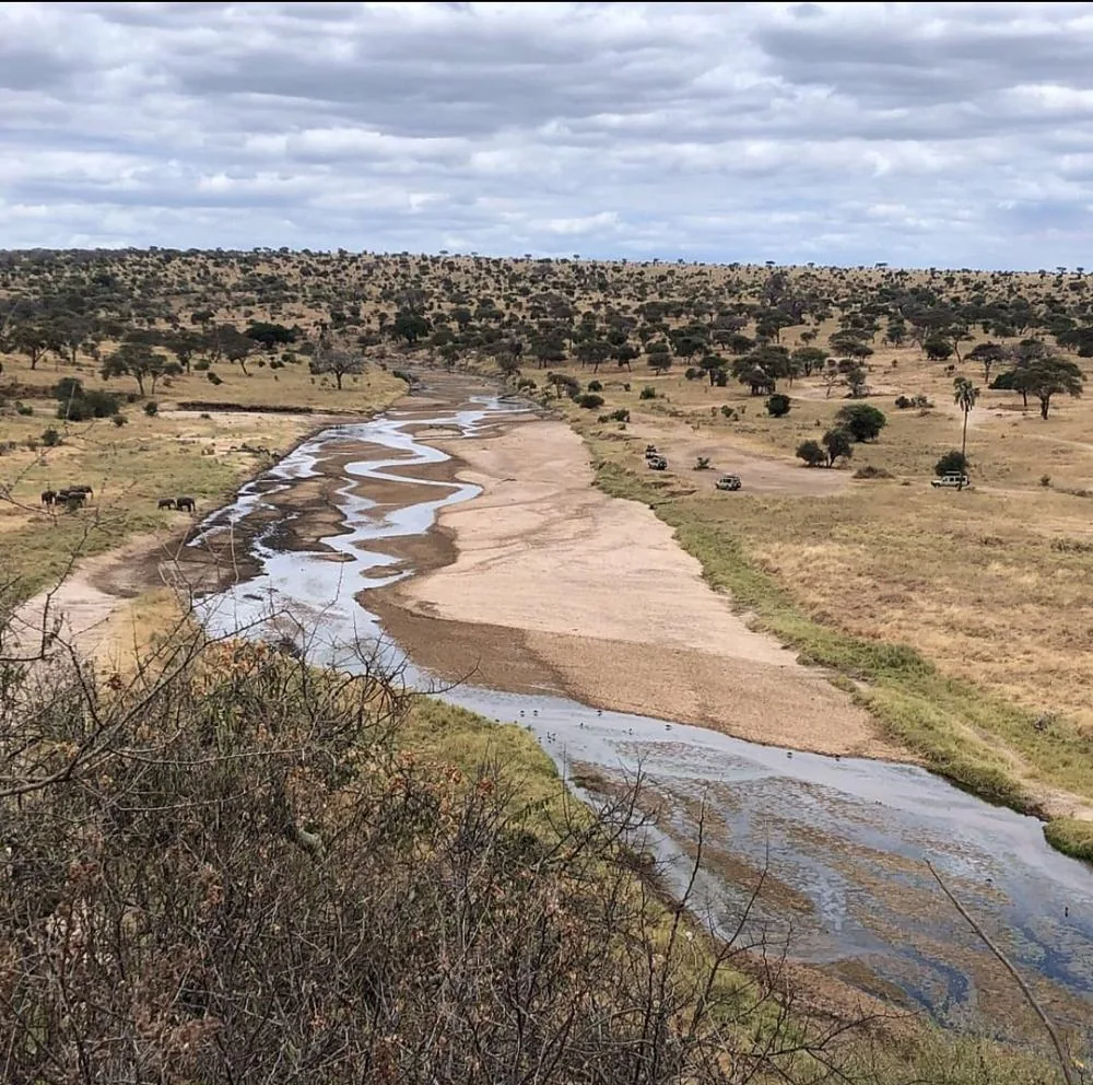 Tarangire landscape and river
